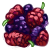 A bunch of mulberries