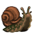 A small brown snail