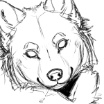 Sh3Draws's Avatar