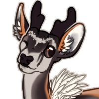Thumbnail for FAWN-00062: Sero