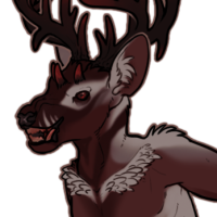 Thumbnail of FAUN-00163