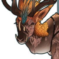 Thumbnail of FAUN-00189: Reiss