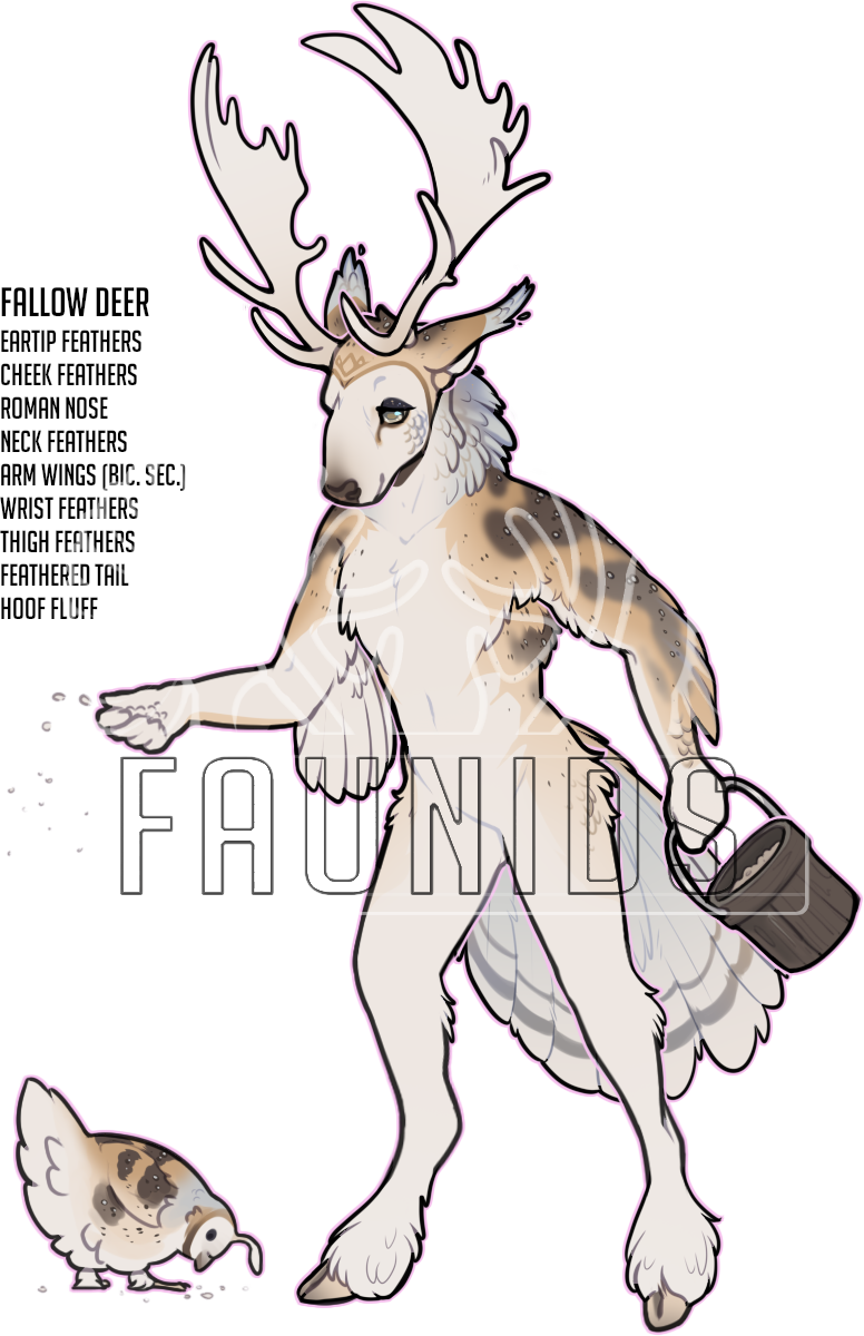FAUN-00314: Avenir
