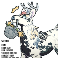 Thumbnail for FAUN-00320: Rami Roo