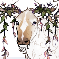 FAWN-00084: Bellamy