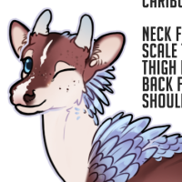 Thumbnail of FAWN-00138