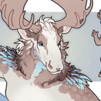 FAWN-00155: Baia “Cove” Searow