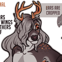 Thumbnail for FAWN-00202: Finch