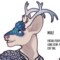 Thumbnail for FAWN-00223: Dawn