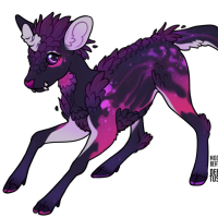 Thumbnail of FAWN-00243