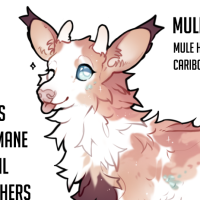 Thumbnail of FAWN-00304: Dixie Daisy