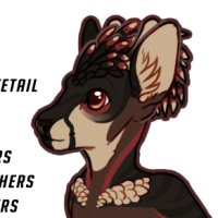 Thumbnail of FAWN-00024: Rhyder