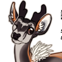 Thumbnail of FAWN-00062: Sero