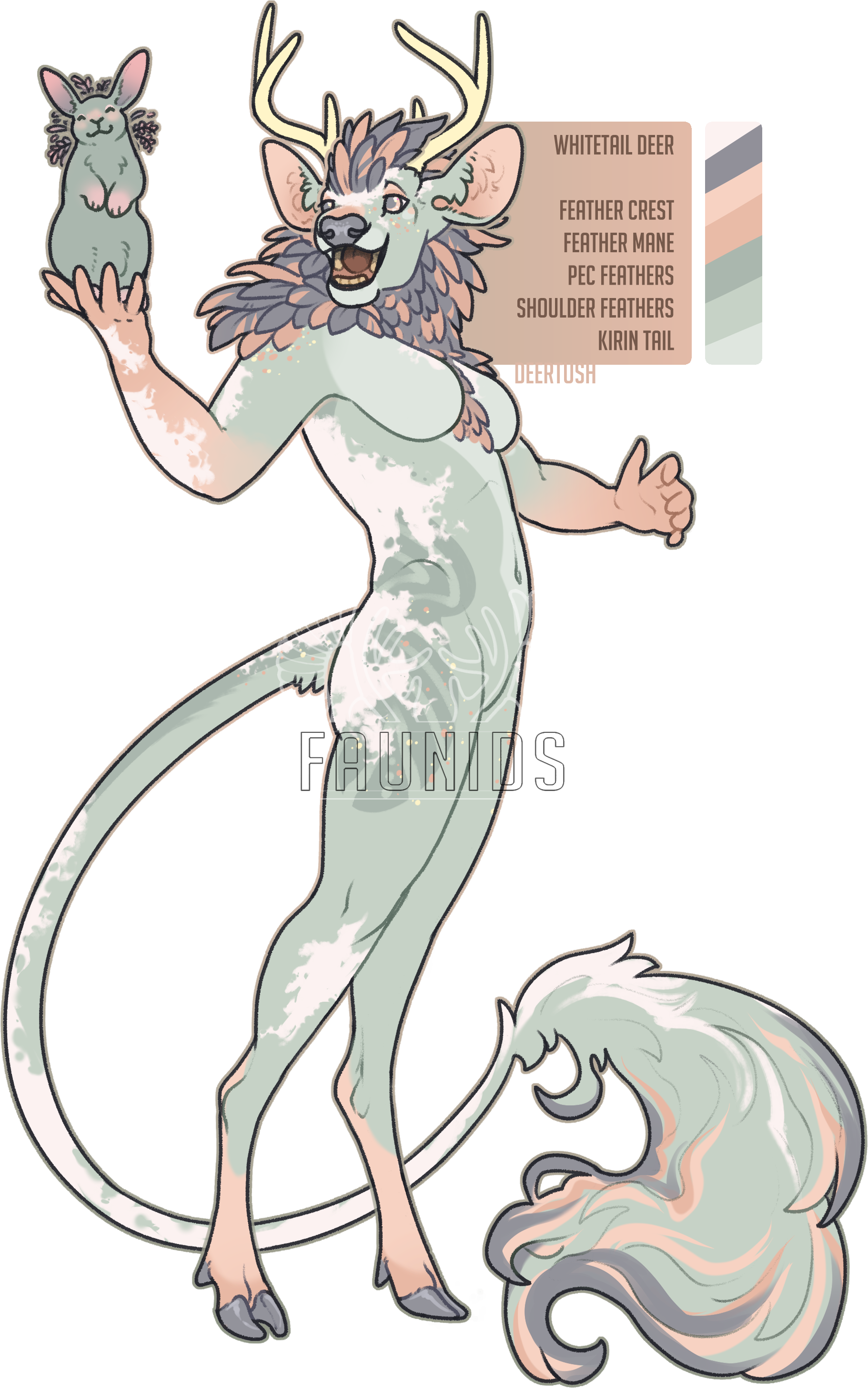 FAUN-00449: Bua