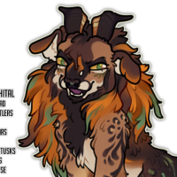 Thumbnail for FAWN-00494: Wildcard