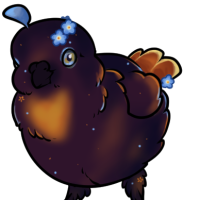 Thumbnail for FAUN-00550: Aurora