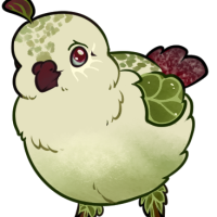 Thumbnail for FAUN-00680: Clumpfoot Cabbage