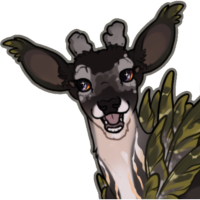 Thumbnail for FAWN-00614