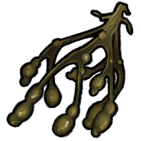 <a href="https://www.faunids.com/world/items?name=Seaweed" class="display-item">Seaweed</a>