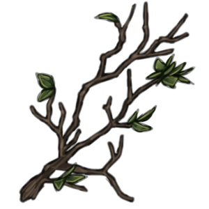 Large Branch