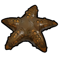 Starfish