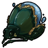 Nimorb Beetle