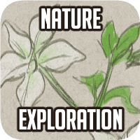 Nature Exploration