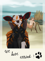 Submission thumbnail
